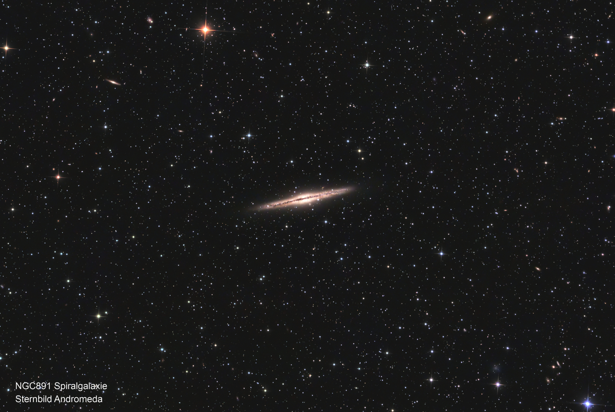 NGC 891